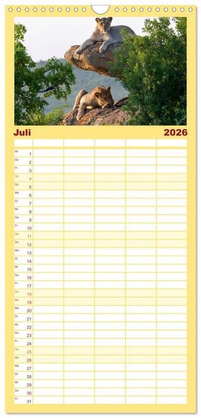 Produktbild: Familienplaner 2026 - Komm mit auf Safari! Botswana und S&uuml;dafrika mit 5 Spalten (Wandkalender, 21 x 45 cm) CALVENDO