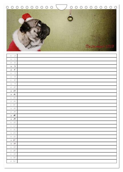 Produktbild: Der mopsige Familienplaner (Wandkalender 2027 DIN A4 hoch), CALVENDO Monatskalender