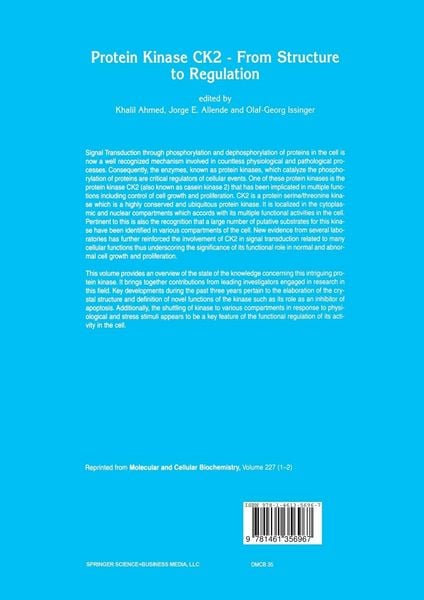 Produktbild: Protein Kinase CK2 &mdash; From Structure to Regulation