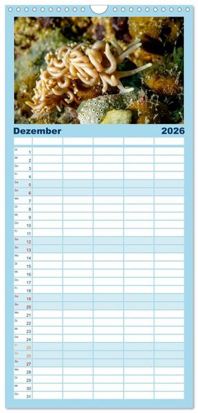 Produktbild: Familienplaner 2026 - Nudis &ndash; Die bunte Welt der Nacktschnecken mit 5 Spalten (Wandkalender, 21 x 45 cm) CALVENDO