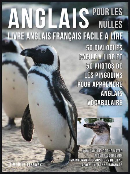 Produktbild: Anglais Pour Les Nulles - Livre Anglais Fran&ccedil;ais Facile A Lire