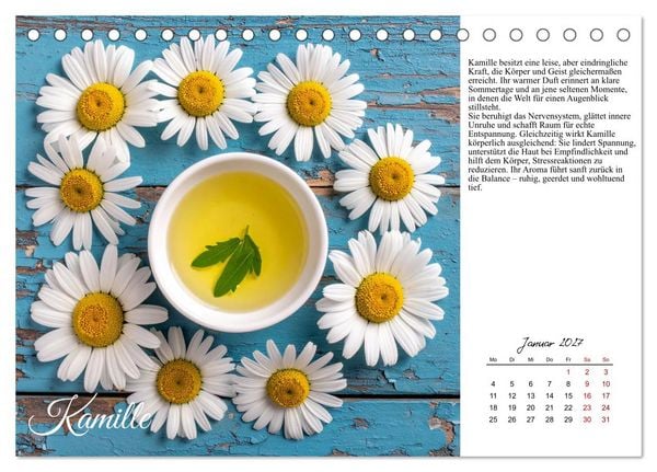 Produktbild: Heilsame Aroma&ouml;le (Tischkalender 2027 DIN A5 quer), CALVENDO Monatskalender