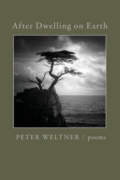 Produktbild: After Dwelling on Earth