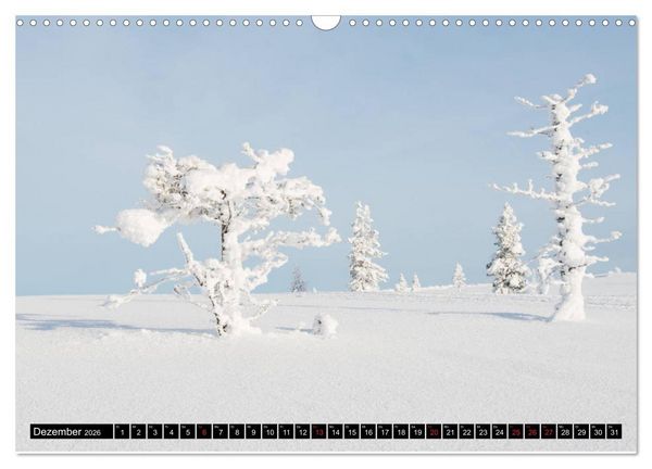 Produktbild: B&auml;ume in der Welt (Wandkalender 2026 DIN A3 quer), CALVENDO Monatskalender