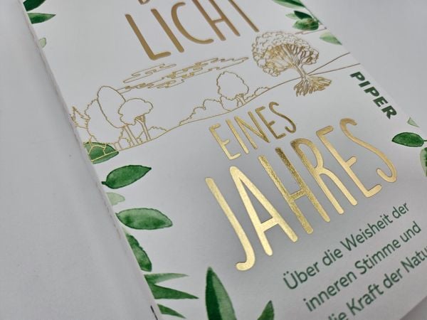 Produktbild: Das Licht eines Jahres