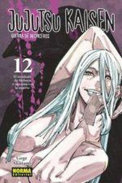 Produktbild: Jujutsu Kaisen 12