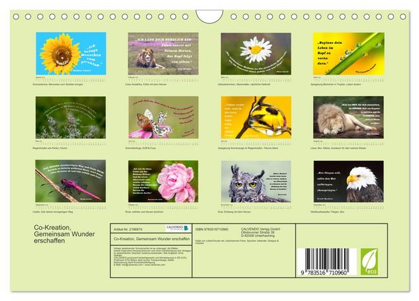 Produktbild: Co-Kreation, Gemeinsam Wunder erschaffen (Wandkalender 2026 DIN A4 quer), CALVENDO Monatskalender
