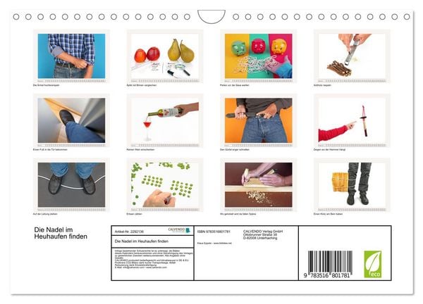 Produktbild: Die Nadel im Heuhaufen finden (Wandkalender 2027 DIN A4 quer), CALVENDO Monatskalender