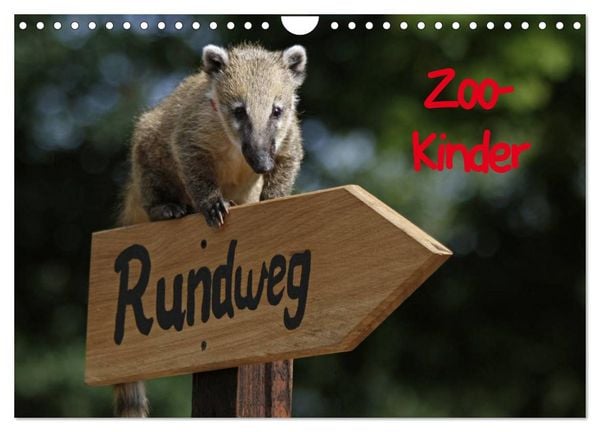 Produktbild: Zoo-Kinder (Wandkalender 2026 DIN A4 quer), CALVENDO Monatskalender