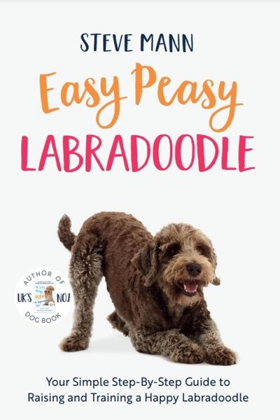 Produktbild: Easy Peasy Labradoodle