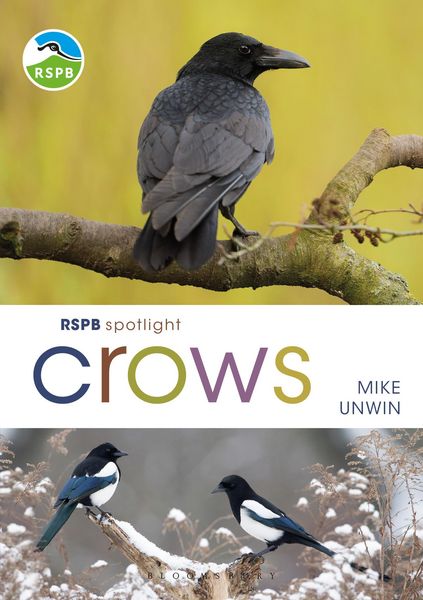 Produktbild: RSPB Spotlight Crows