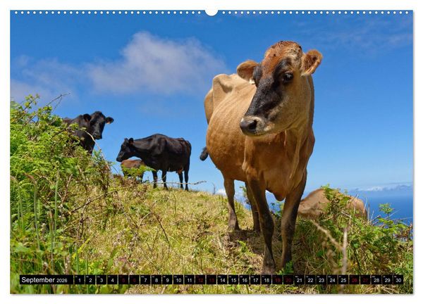 Produktbild: Sao Miguel Azoren - Vulkanisch gepr&auml;gte Trauminsel im Atlantik (hochwertiger Premium Wandkalender 2026 DIN A2 quer), Kunstdruck in Hochglanz