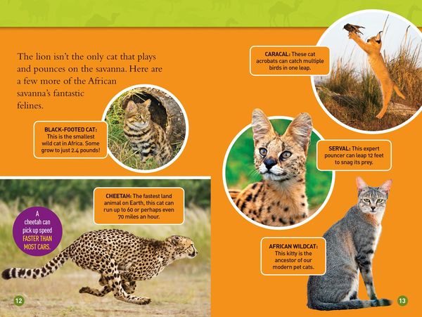 Produktbild: Roar! (National Geographic Kids Readers, Level 3/Fact Reader)