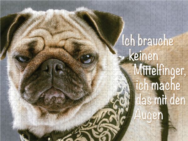 Produktbild: CALVENDO Puzzle Ich brauche keinen Mittelfinger, ich mache das mit den Augen. | 1000 Teile Lege-Gr&ouml;&szlig;e 64x48cm Foto-Puzzle f&uuml;r gl&uuml;ckliche Stunden