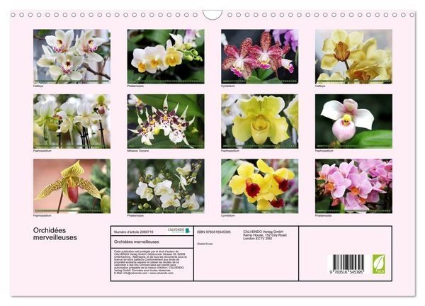 Produktbild: Orchid&eacute;es merveilleuses (Calendrier mural 2026 DIN A3 vertical), CALVENDO calendrier mensuel
