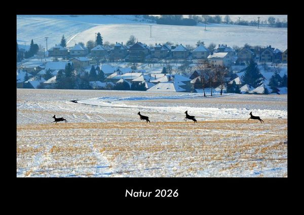 Produktbild: Natur 2026 Fotokalender DIN A3