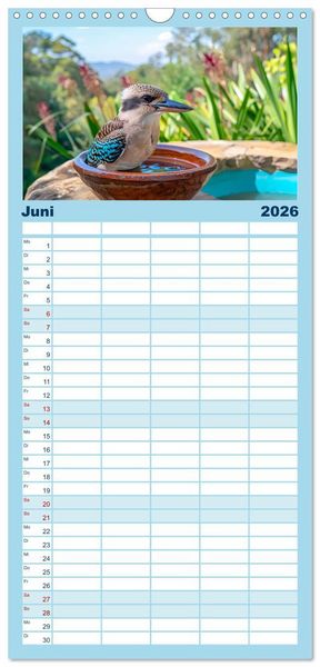 Produktbild: Familienplaner 2026 - Der Kookaburra - Im australischen Busch mit dem lachenden Hans mit 5 Spalten (Wandkalender, 21 x 45 cm) CALVENDO