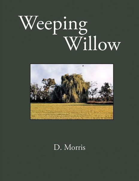 Produktbild: Weeping Williow