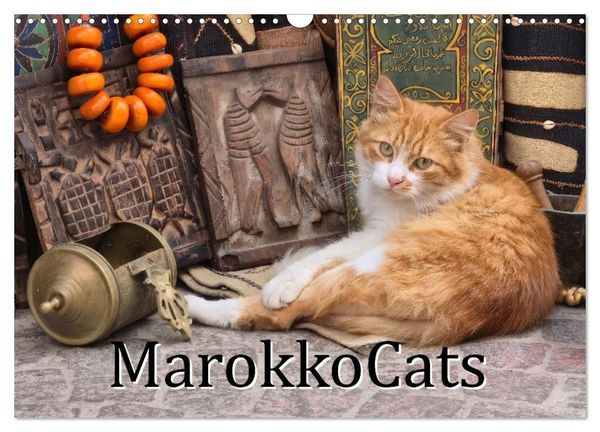 Produktbild: MarokkoCats (Wandkalender 2027 DIN A3 quer), CALVENDO Monatskalender