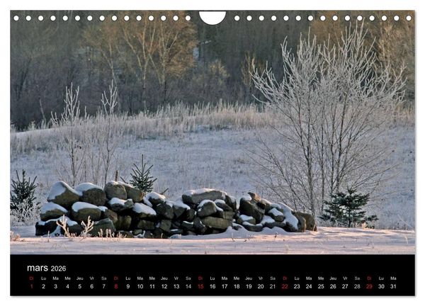 Produktbild: Regard sur les saisons du Qu&eacute;bec (Calendrier mural 2026 DIN A4 vertical), CALVENDO calendrier mensuel