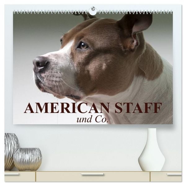 Produktbild: American Staff und Co. (hochwertiger Premium Wandkalender 2026 DIN A2 quer), Kunstdruck in Hochglanz