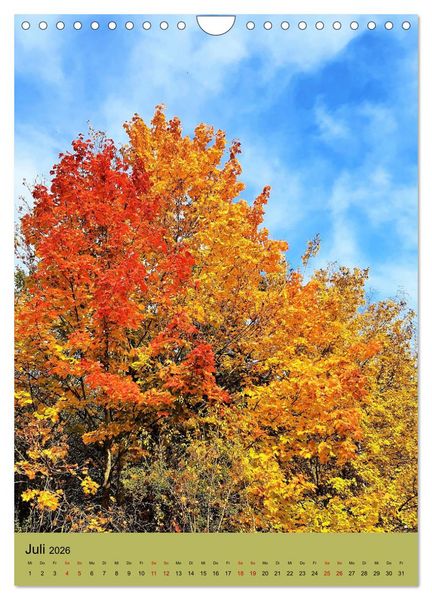 Produktbild: Momente des Herbstes (Wandkalender 2026 DIN A4 hoch), CALVENDO Monatskalender