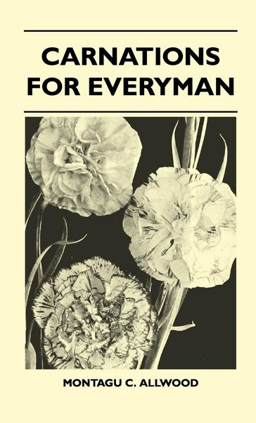 Produktbild: Carnations For Everyman
