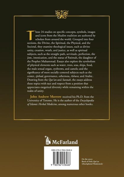 Produktbild: Islamic Images and Ideas
