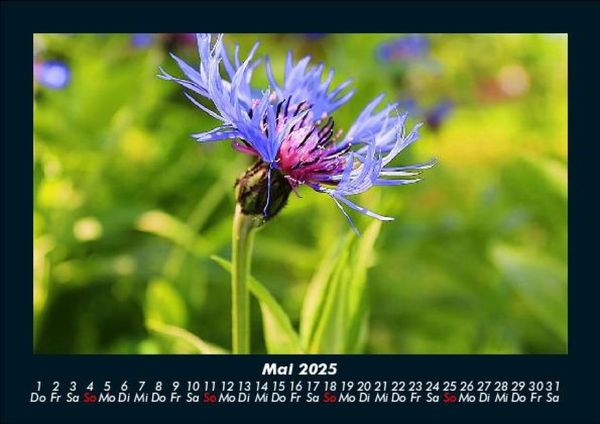Produktbild: Blick in die Natur 2025 Fotokalender DIN A5
