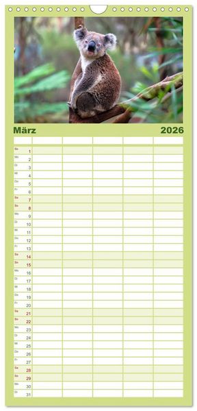 Produktbild: Familienplaner 2026 - Koala - kleiner Teddy mit 5 Spalten (Wandkalender, 21 x 45 cm) CALVENDO