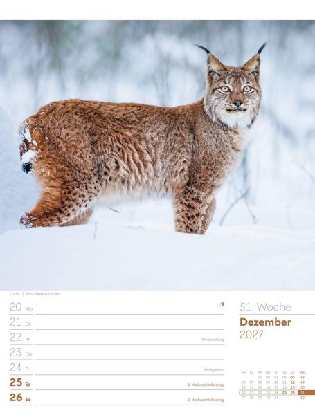 Produktbild: Unser Wald Wochenplaner Kalender 2027