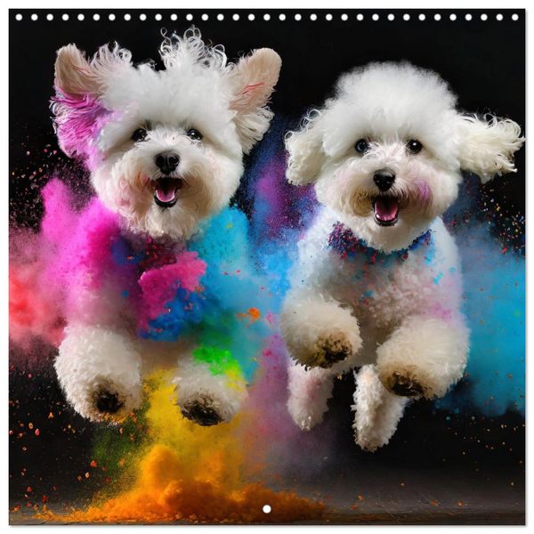 Dynamic Duo - Two Paws, One Leap (Wall Calendar 2026 12 × 12 Inch) CALVENDO 12 Month Wall Calendar