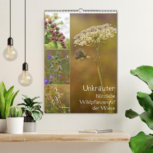 Produktbild: Unkr&auml;uter - N&uuml;tzliche Wildpflanzen auf der Wiese (Wandkalender 2026 DIN A2 hoch), CALVENDO Monatskalender