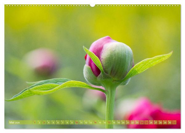 Produktbild: Die Poesie der Pflanzenwelt - Im Wandel der Jahreszeiten (hochwertiger Premium Wandkalender 2026 DIN A2 quer), Kunstdruck in Hochglanz