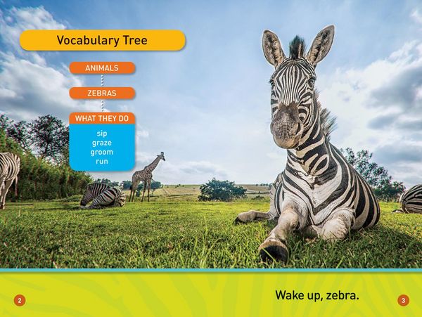 Produktbild: A Zebra's Day (National Geographic Kids Readers, Pre-Reader)