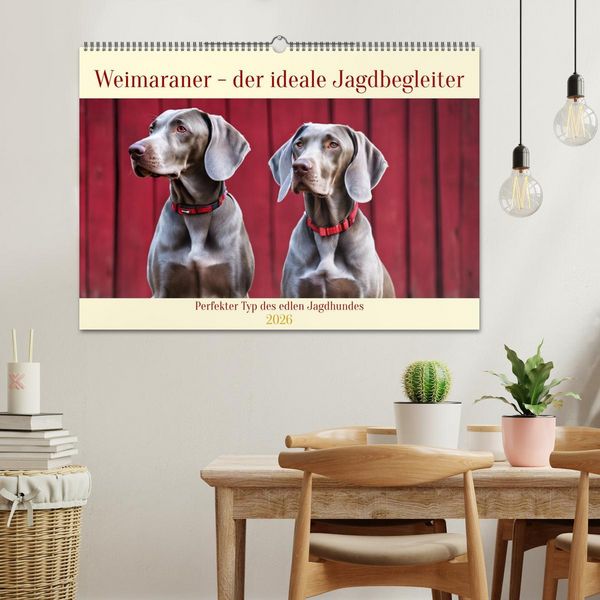 Produktbild: Weimaraner - der ideale Jagdbegleiter (Wandkalender 2026 DIN A2 quer), CALVENDO Monatskalender