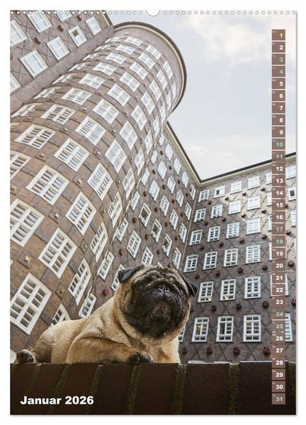 Produktbild: M&ouml;pse in Hamburg (hochwertiger Premium Wandkalender 2026 DIN A2 hoch), Kunstdruck in Hochglanz