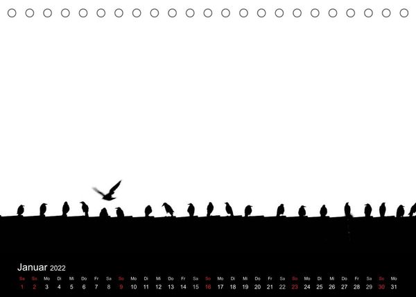 Produktbild: Kieler V&ouml;gel (Tischkalender 2022 DIN A5 quer)