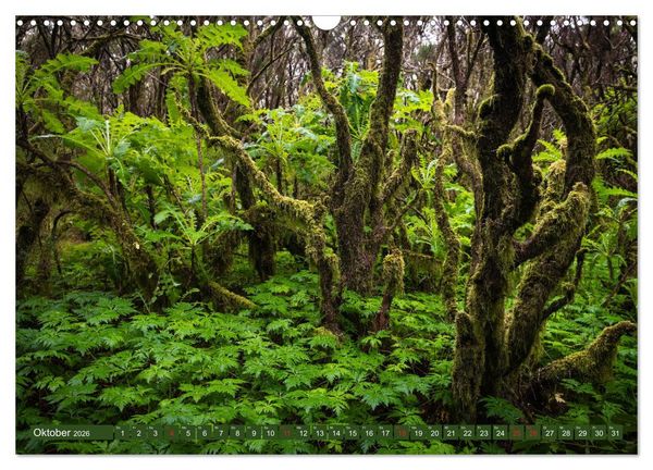 Produktbild: La Gomera - Vielseitige Insel (Wandkalender 2026 DIN A3 quer), CALVENDO Monatskalender
