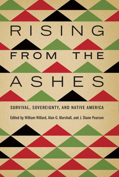 Produktbild: Rising from the Ashes