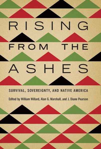 Produktbild: Rising from the Ashes