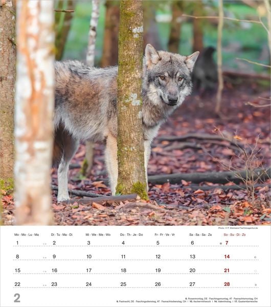 Produktbild: Mythos Wolf 2027