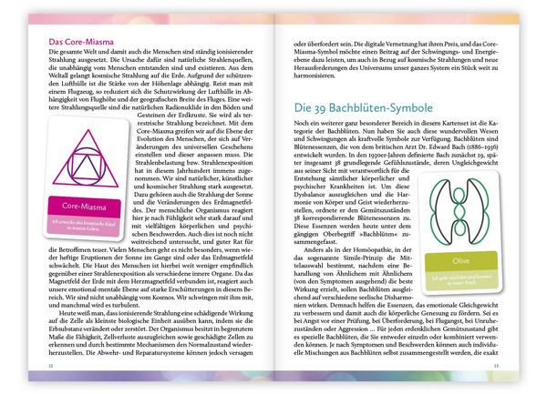 Produktbild: Hom&ouml;opathische Symbolapotheke: Psyche und Gem&uuml;t. Das Kartenset