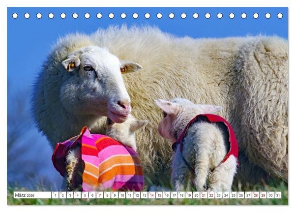 Produktbild: Wildes Wendland (Tischkalender 2026 DIN A5 quer), CALVENDO Monatskalender