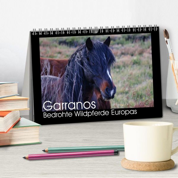 Produktbild: Garranos - Bedrohte Wildpferde Europas (Tischkalender 2026 DIN A5 quer), CALVENDO Monatskalender