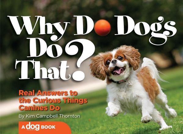 Produktbild: Why Do Dogs Do That?