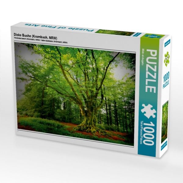 CALVENDO Puzzle Dicke Buche (Krombach, NRW) | 1000 Teile Lege-Größe 64x48cm Foto-Puzzle für glückliche Stunden
