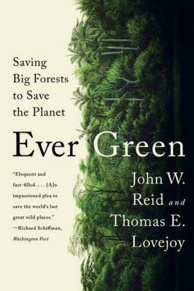 Produktbild: Ever Green