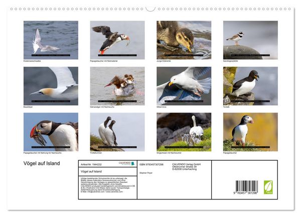Produktbild: V&ouml;gel auf Island (hochwertiger Premium Wandkalender 2026 DIN A2 quer), Kunstdruck in Hochglanz