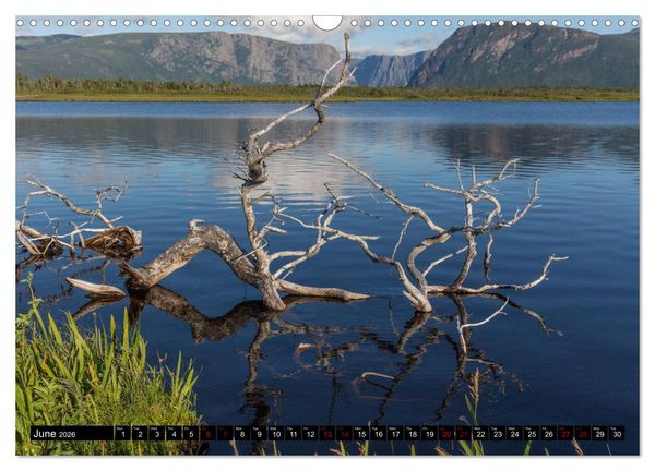 Produktbild: Island of Newfoundland (Wall Calendar 2026 DIN A3 landscape), CALVENDO 12 Month Wall Calendar